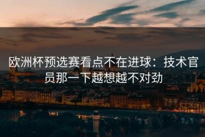 欧洲杯预选赛看点不在进球：技术官员那一下越想越不对劲